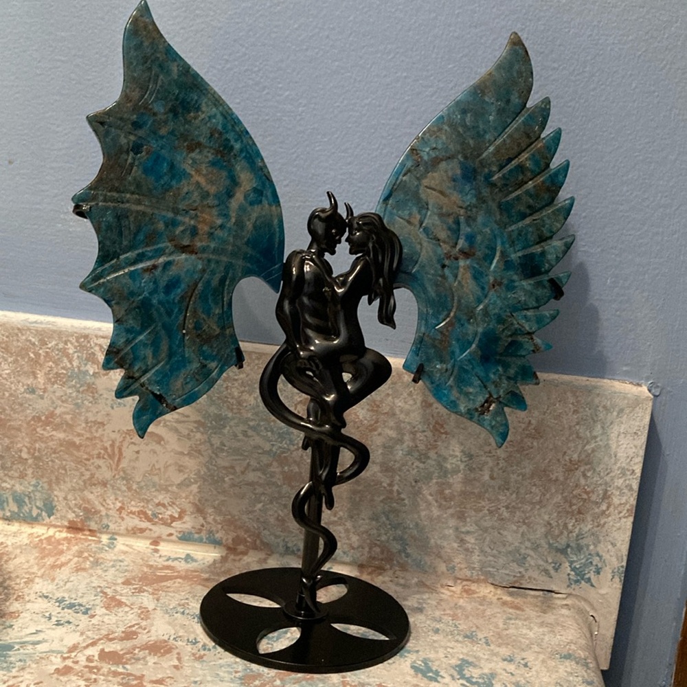 Good and Evil Appetite Angel Wings Set. NWOT Stunning Piece. **SPECIAL ORDER**